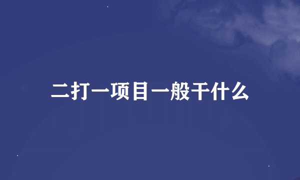 二打一项目一般干什么