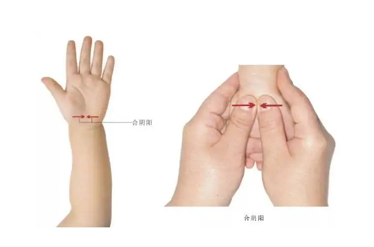 《合阴阳》出自哪个朝代？