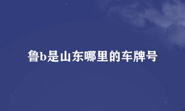 鲁b是山东哪里的车牌号