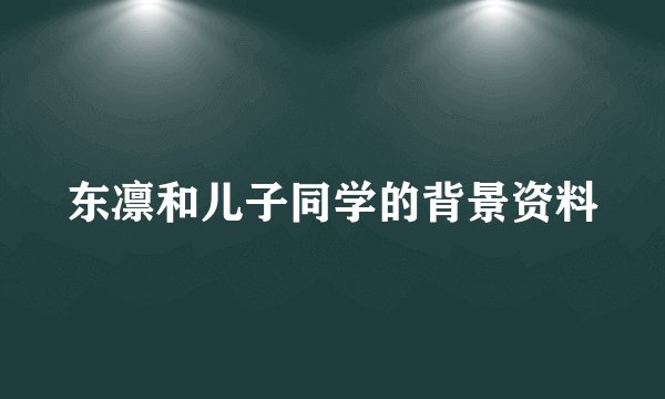 东凛和儿子同学的背景资料