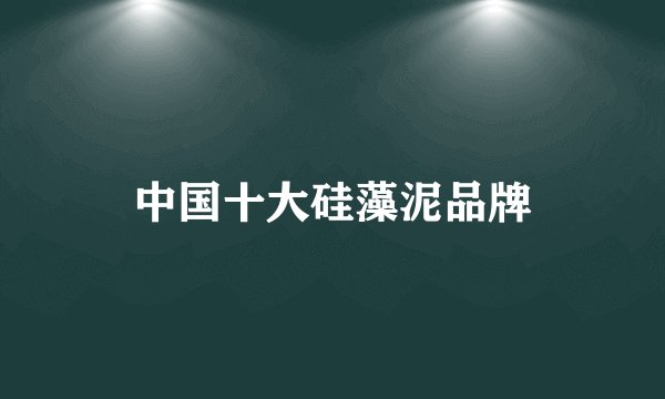 中国十大硅藻泥品牌