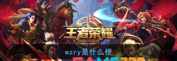 wzry网络用语的含义解答