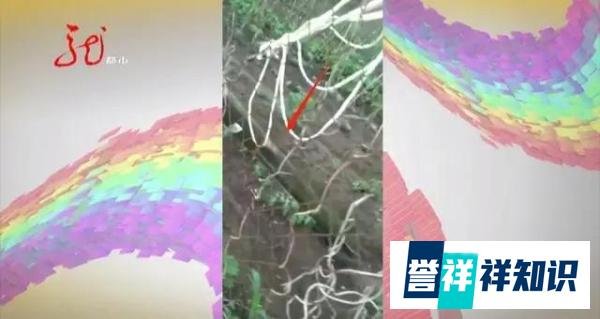 哈尔滨一居民院里，突落炮弹