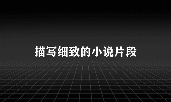 描写细致的小说片段