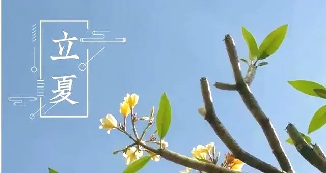 立夏热度排行榜来了,全国十大最热城市出炉,你家乡的城市在列吗?