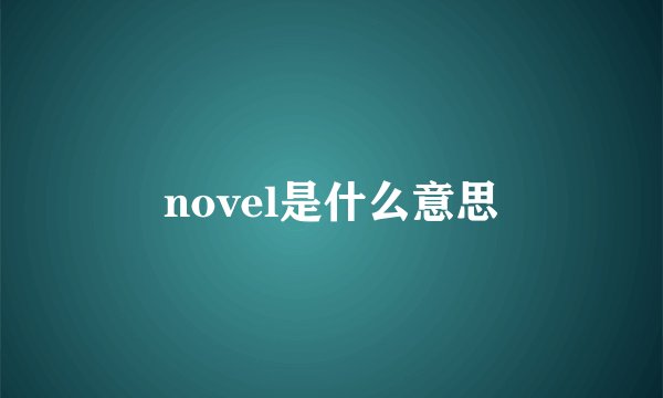 novel是什么意思