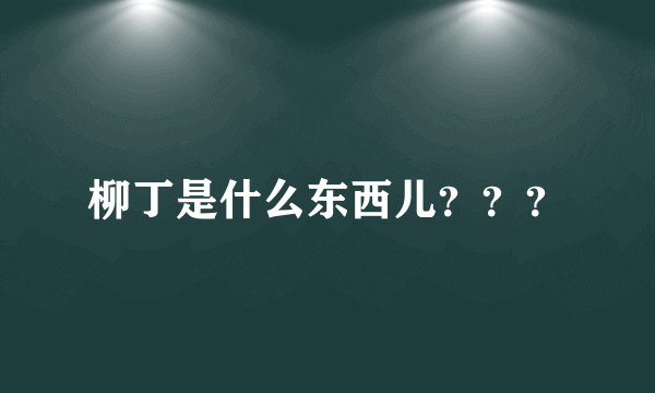 柳丁是什么东西儿？？？