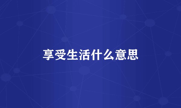享受生活什么意思