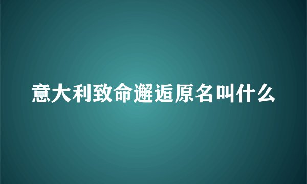 意大利致命邂逅原名叫什么