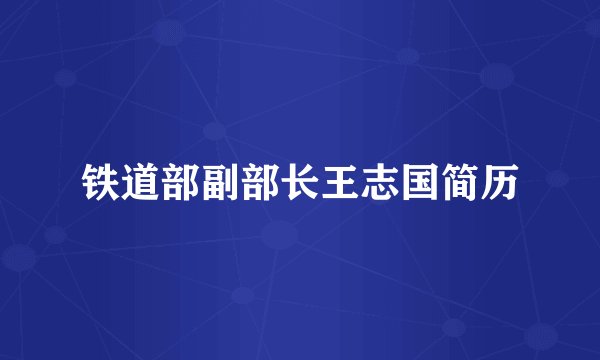 铁道部副部长王志国简历
