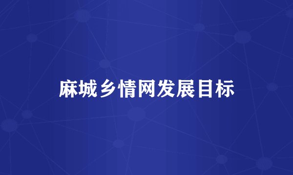 麻城乡情网发展目标