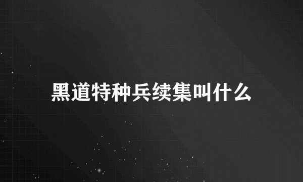 黑道特种兵续集叫什么