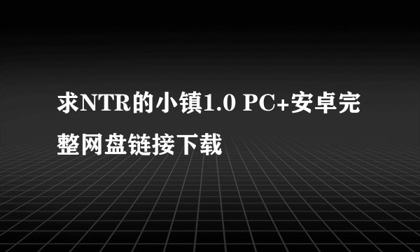 求NTR的小镇1.0 PC+安卓完整网盘链接下载