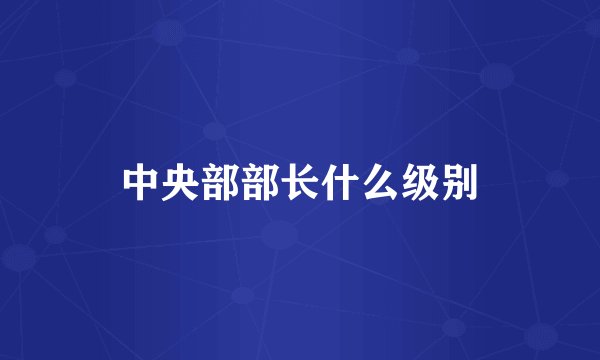 中央部部长什么级别