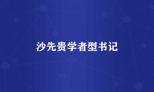 沙先贵学者型书记