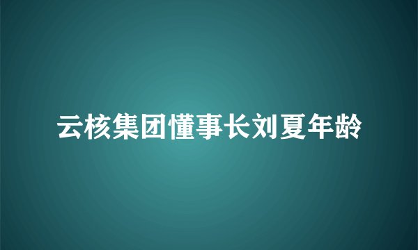 云核集团懂事长刘夏年龄
