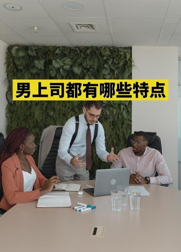 男上司都有哪些特点