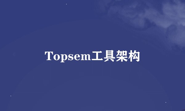 Topsem工具架构