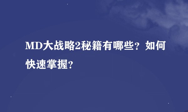 MD大战略2秘籍有哪些？如何快速掌握？