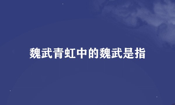 魏武青虹中的魏武是指