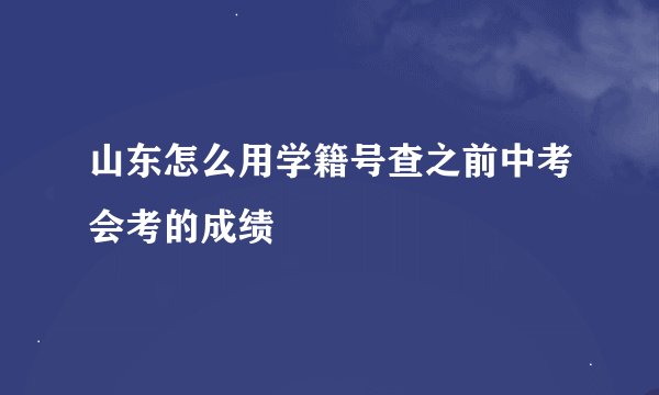山东怎么用学籍号查之前中考会考的成绩