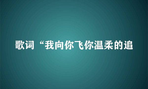 歌词“我向你飞你温柔的追