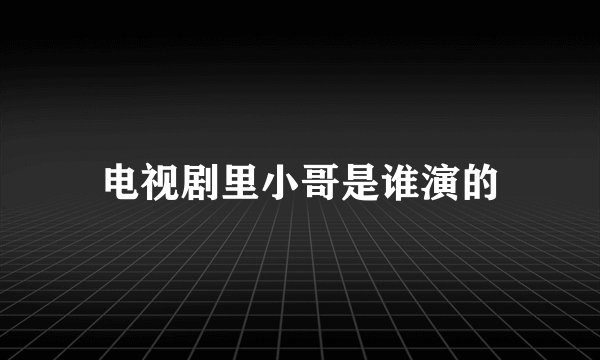 电视剧里小哥是谁演的