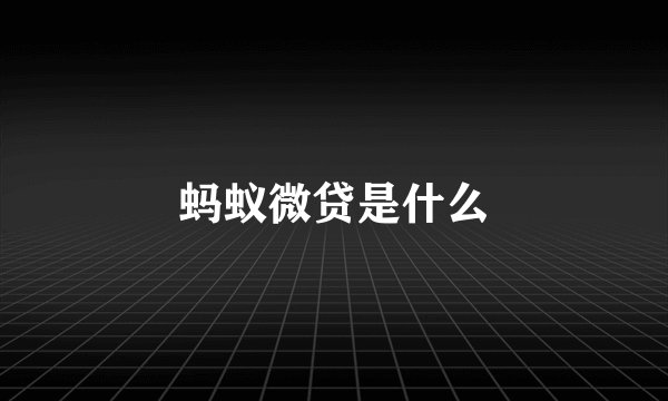 蚂蚁微贷是什么