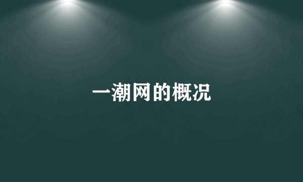 一潮网的概况