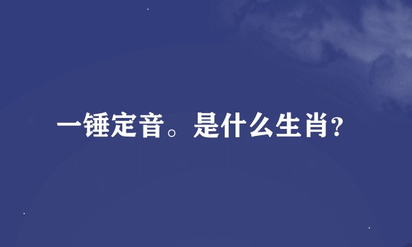 一锤定音。是什么生肖？