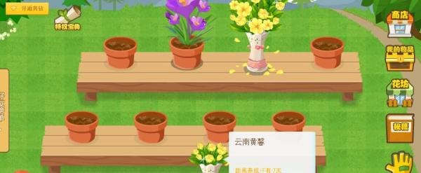 QQ空间新版花藤怎么养花快,养花少用一天的方法