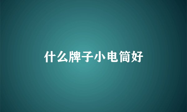 什么牌子小电筒好