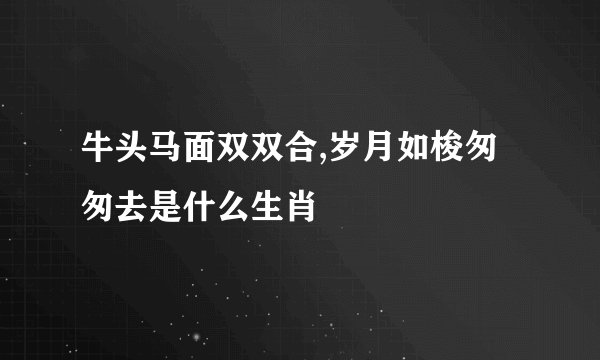 牛头马面双双合,岁月如梭匆匆去是什么生肖
