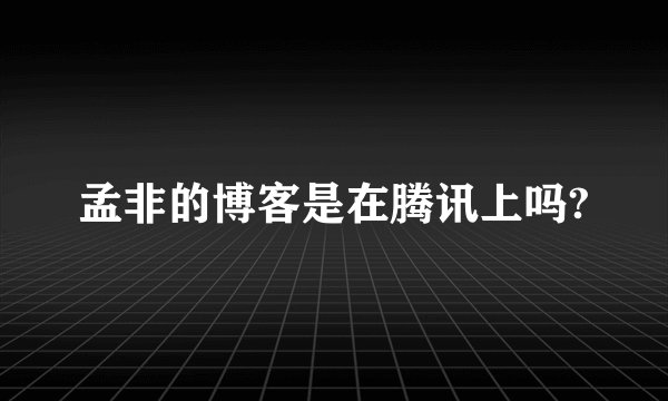 孟非的博客是在腾讯上吗?