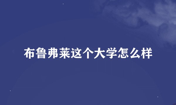 布鲁弗莱这个大学怎么样