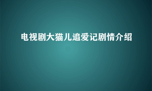 电视剧大猫儿追爱记剧情介绍