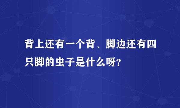 背上还有一个背、脚边还有四只脚的虫子是什么呀？