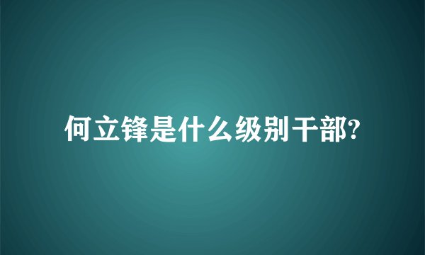 何立锋是什么级别干部?
