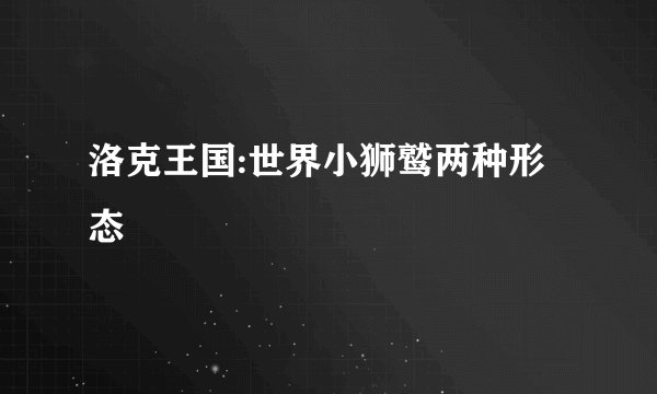 洛克王国:世界小狮鹫两种形态