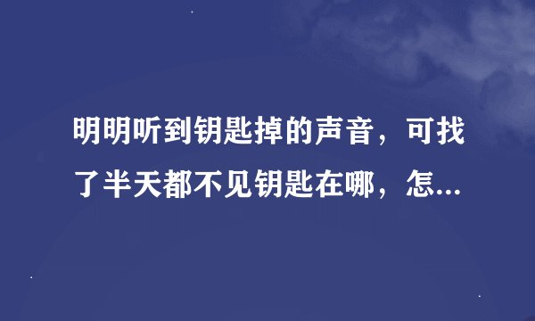 明明听到钥匙掉的声音，可找了半天都不见钥匙在哪，怎么解决？