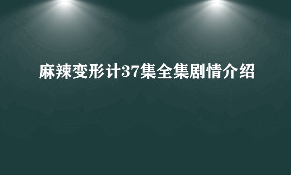 麻辣变形计37集全集剧情介绍