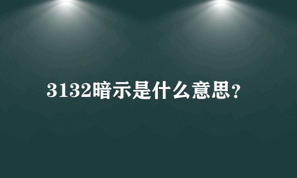 3132暗示是什么意思？