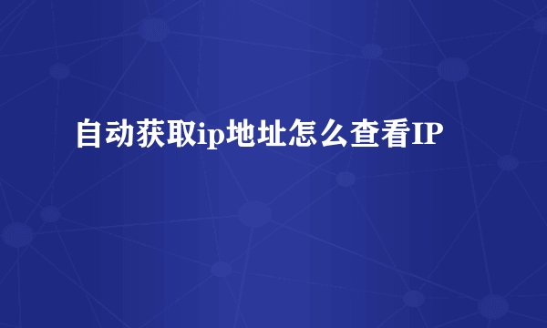 自动获取ip地址怎么查看IP
