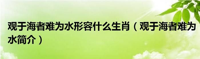 观于海者难为水形容什么生肖观于海者难为水简介