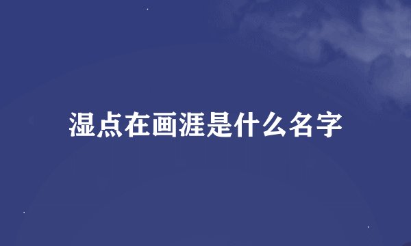 湿点在画涯是什么名字