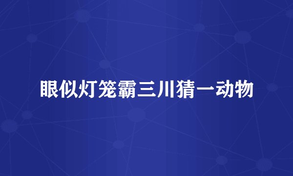 眼似灯笼霸三川猜一动物