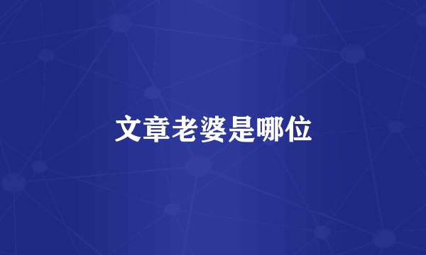 文章老婆是哪位