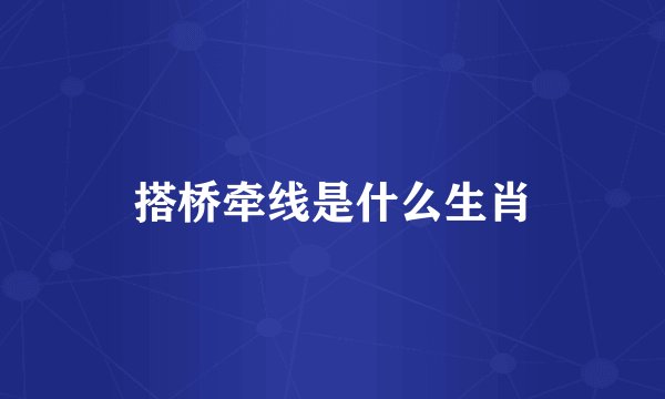 搭桥牵线是什么生肖
