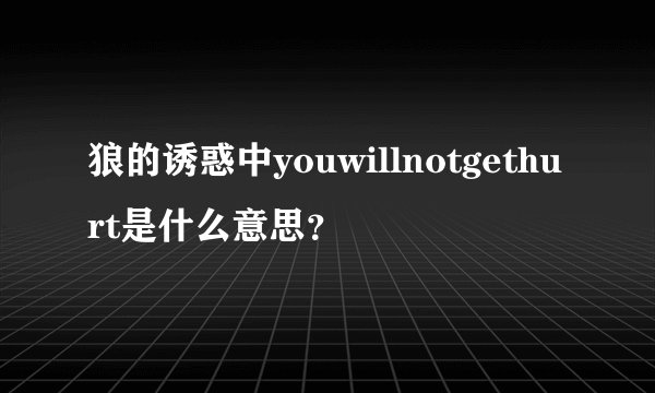 狼的诱惑中youwillnotgethurt是什么意思?