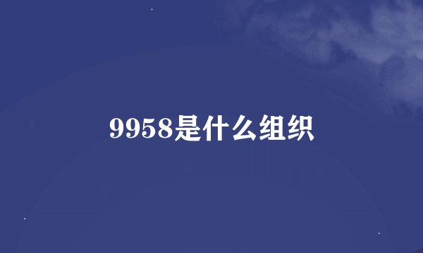 9958是什么组织